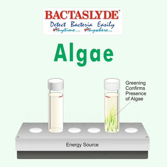 BS125-Algae Test Kit